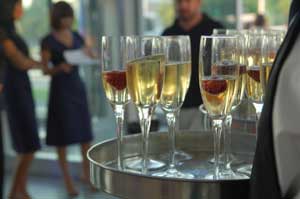 Cocktail Food Catering - Party