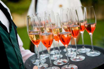 Catering Adelaide - Cocktail food Party Pack